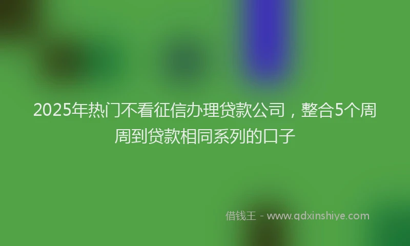 2025年热门不看征信办理贷款公司，整合5个周周到贷款相同系列的口子
