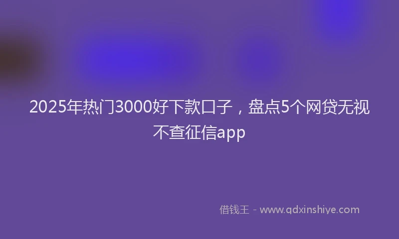2025年热门3000好下款口子，盘点5个网贷无视不查征信app