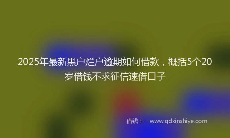 2025年最新黑户烂户逾期如何借款，概括5个20岁借钱不求征信速借口子