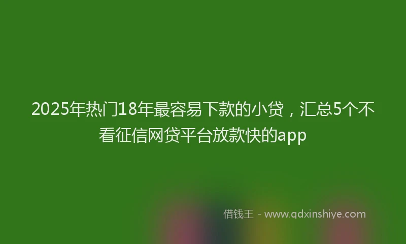 2025年热门18年最容易下款的小贷，汇总5个不看征信网贷平台放款快的app