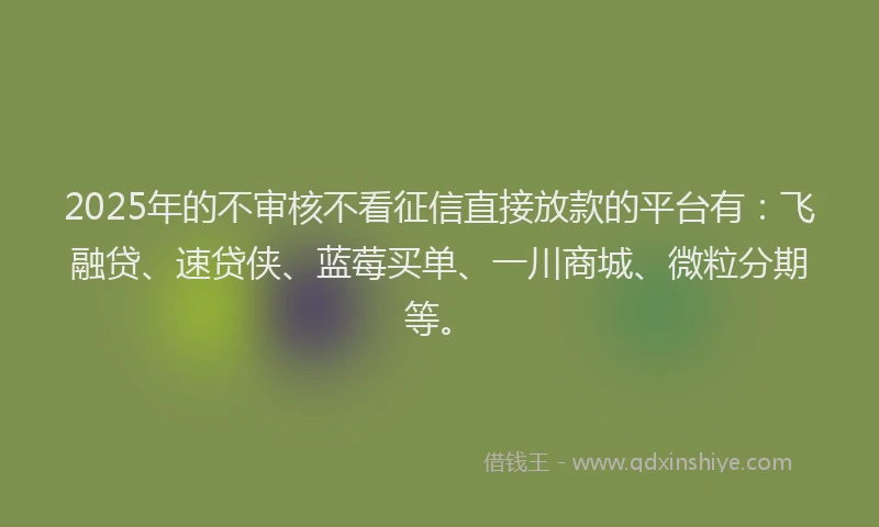 2025年的不审核不看征信直接放款的平台有：飞融贷、速贷侠、蓝莓买单、一川商城、微粒分期等。