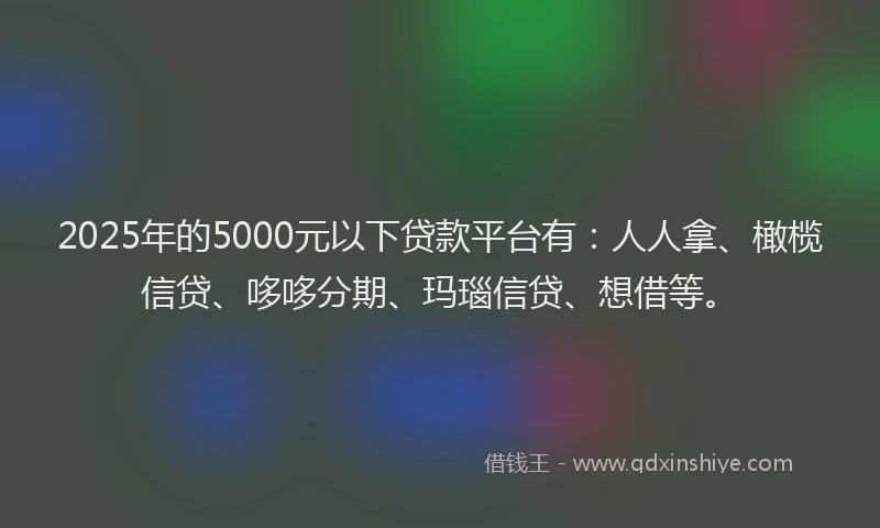 2025年的5000元以下贷款平台有：人人拿、橄榄信贷、哆哆分期、玛瑙信贷、想借等。