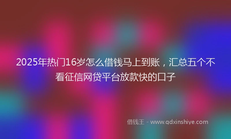 2025年热门16岁怎么借钱马上到账，汇总五个不看征信网贷平台放款快的口子
