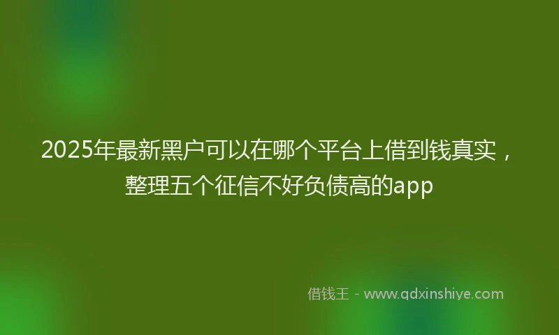 2025年最新黑户可以在哪个平台上借到钱真实，整理五个征信不好负债高的app