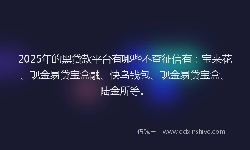 2025年的黑贷款平台有哪些不查征信有：宝来花、现金易贷宝盒融、快鸟钱包、现金易贷宝盒、陆金所等。