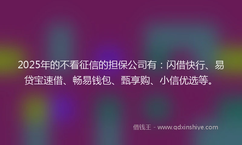 2025年的不看征信的担保公司有：闪借快行、易贷宝速借、畅易钱包、甄享购、小信优选等。