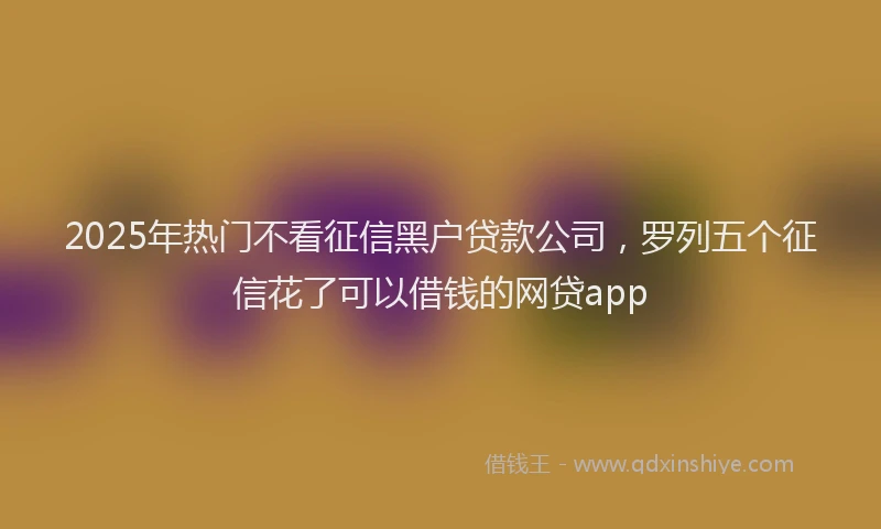 2025年热门不看征信黑户贷款公司，罗列五个征信花了可以借钱的网贷app