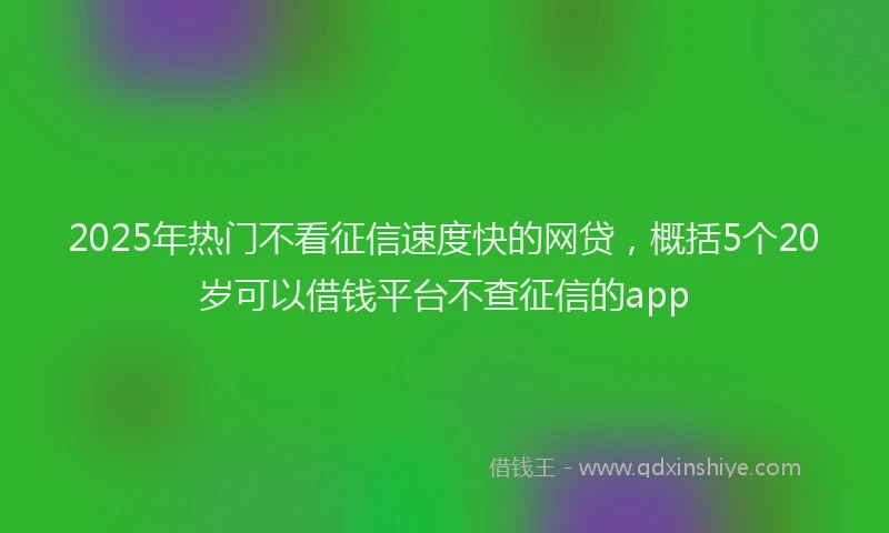 2025年热门不看征信速度快的网贷，概括5个20岁可以借钱平台不查征信的app