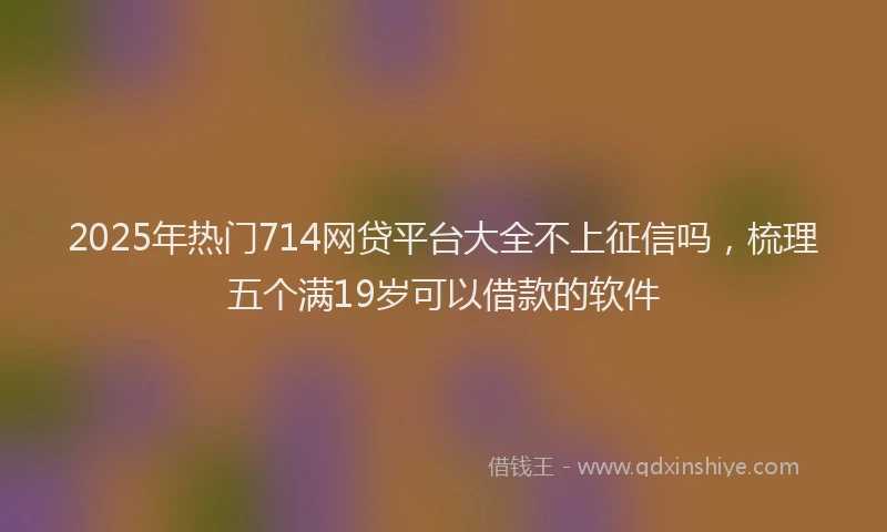 2025年热门714网贷平台大全不上征信吗，梳理五个满19岁可以借款的软件