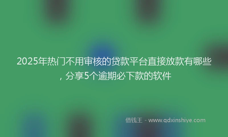 2025年热门不用审核的贷款平台直接放款有哪些，分享5个逾期必下款的软件