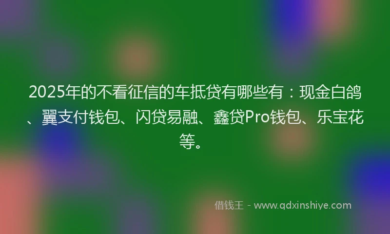 2025年的不看征信的车抵贷有哪些有：现金白鸽、翼支付钱包、闪贷易融、鑫贷Pro钱包、乐宝花等。