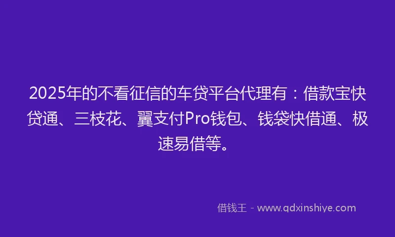 2025年的不看征信的车贷平台代理有：借款宝快贷通、三枝花、翼支付Pro钱包、钱袋快借通、极速易借等。