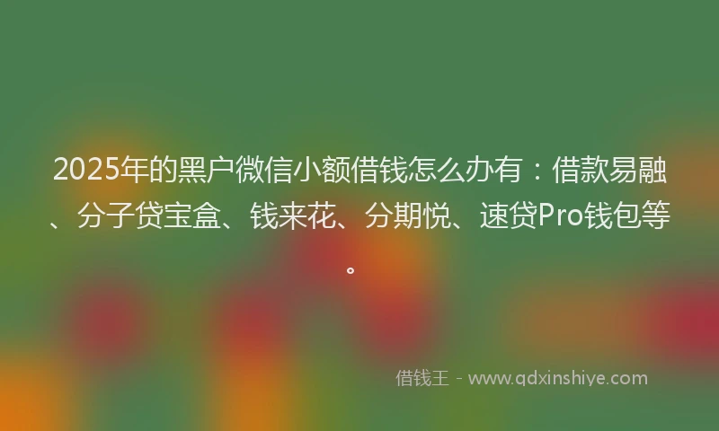 2025年的黑户微信小额借钱怎么办有：借款易融、分子贷宝盒、钱来花、分期悦、速贷Pro钱包等。