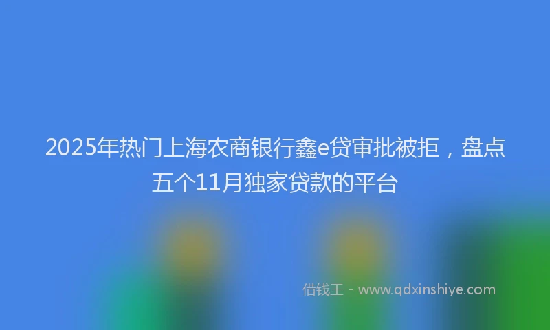 2025年热门上海农商银行鑫e贷审批被拒，盘点五个11月独家贷款的平台