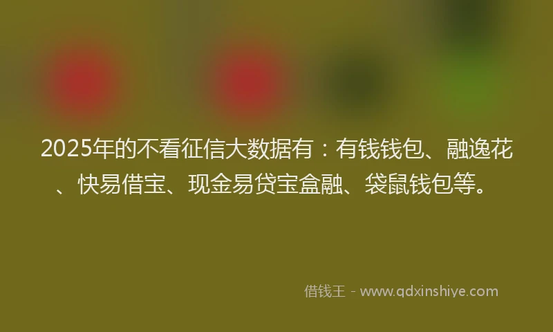 2025年的不看征信大数据有：有钱钱包、融逸花、快易借宝、现金易贷宝盒融、袋鼠钱包等。