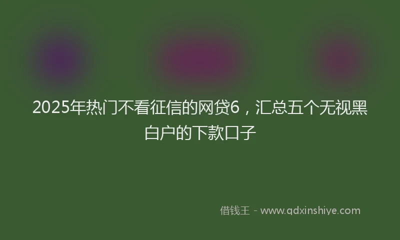 2025年热门不看征信的网贷6，汇总五个无视黑白户的下款口子