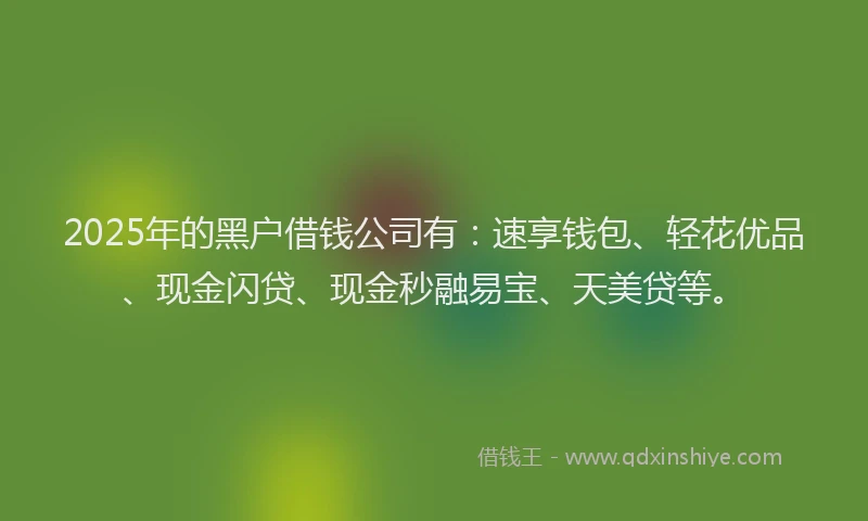 2025年的黑户借钱公司有：速享钱包、轻花优品、现金闪贷、现金秒融易宝、天美贷等。