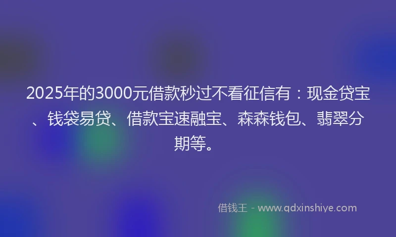 2025年的3000元借款秒过不看征信有：现金贷宝、钱袋易贷、借款宝速融宝、森森钱包、翡翠分期等。