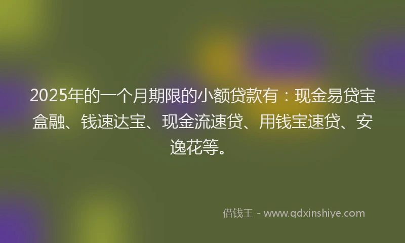 2025年的一个月期限的小额贷款有：现金易贷宝盒融、钱速达宝、现金流速贷、用钱宝速贷、安逸花等。