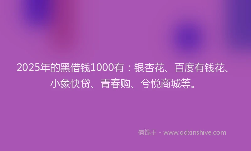 2025年的黑借钱1000有：银杏花、百度有钱花、小象快贷、青春购、兮悦商城等。