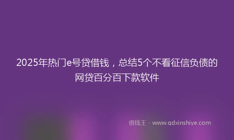 2025年热门e号贷借钱，总结5个不看征信负债的网贷百分百下款软件