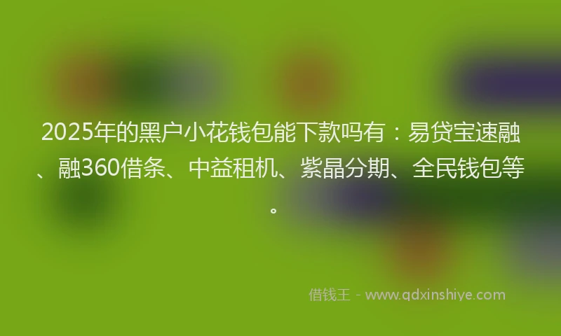 2025年的黑户小花钱包能下款吗有：易贷宝速融、融360借条、中益租机、紫晶分期、全民钱包等。