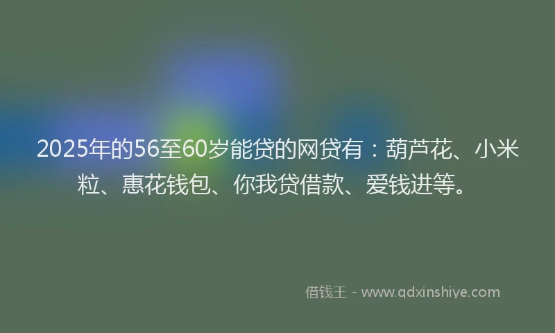 2025年的56至60岁能贷的网贷有：葫芦花、小米粒、惠花钱包、你我贷借款、爱钱进等。