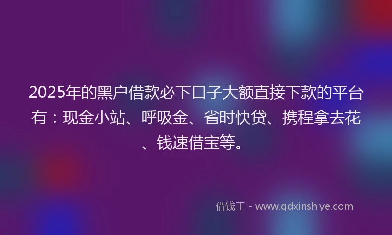 2025年的黑户借款必下口子大额直接下款的平台有：现金小站、呼吸金、省时快贷、携程拿去花、钱速借宝等。