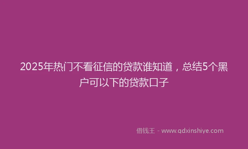 2025年热门不看征信的贷款谁知道,总结5个黑户可以下的贷款口子