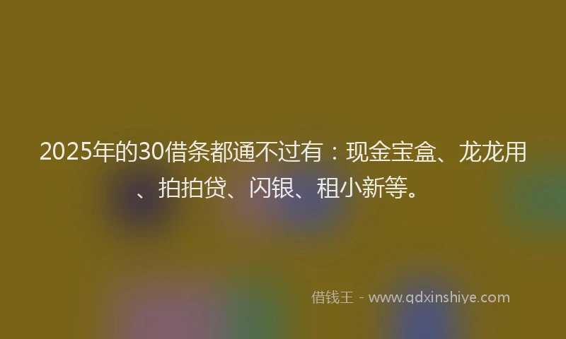 2025年的30借条都通不过有：现金宝盒、龙龙用、拍拍贷、闪银、租小新等。