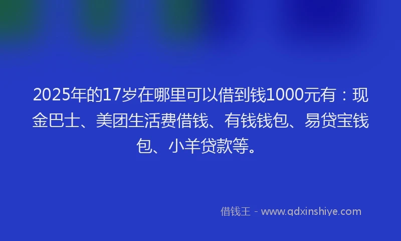 2025年的17岁在哪里可以借到钱1000元有：现金巴士、美团生活费借钱、有钱钱包、易贷宝钱包、小羊贷款等。