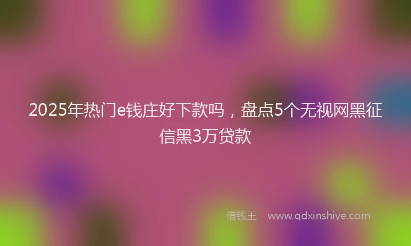 2025年热门e钱庄好下款吗，盘点5个无视网黑征信黑3万贷款