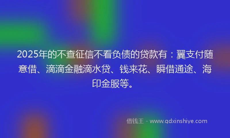2025年的不查征信不看负债的贷款有：翼支付随意借、滴滴金融滴水贷、钱来花、瞬借通途、海印金服等。