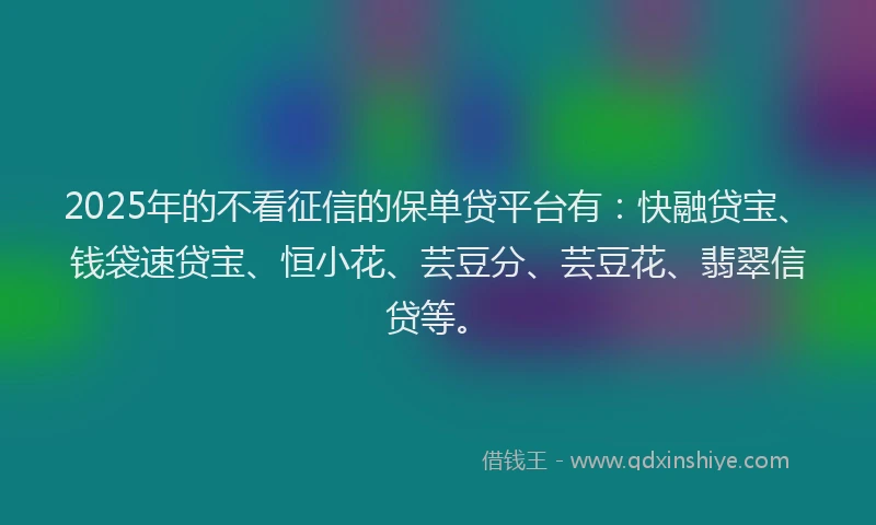 2025年的不看征信的保单贷平台有：快融贷宝、钱袋速贷宝、恒小花、芸豆分、芸豆花、翡翠信贷等。