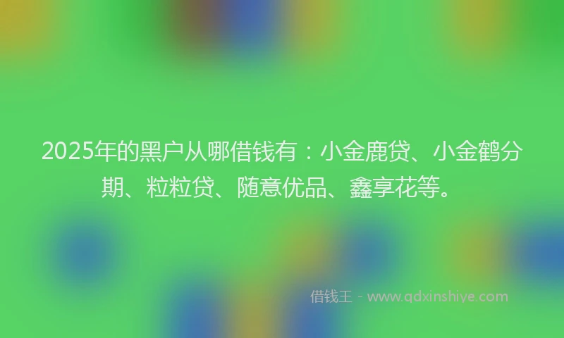 2025年的黑户从哪借钱有：小金鹿贷、小金鹤分期、粒粒贷、随意优品、鑫享花等。