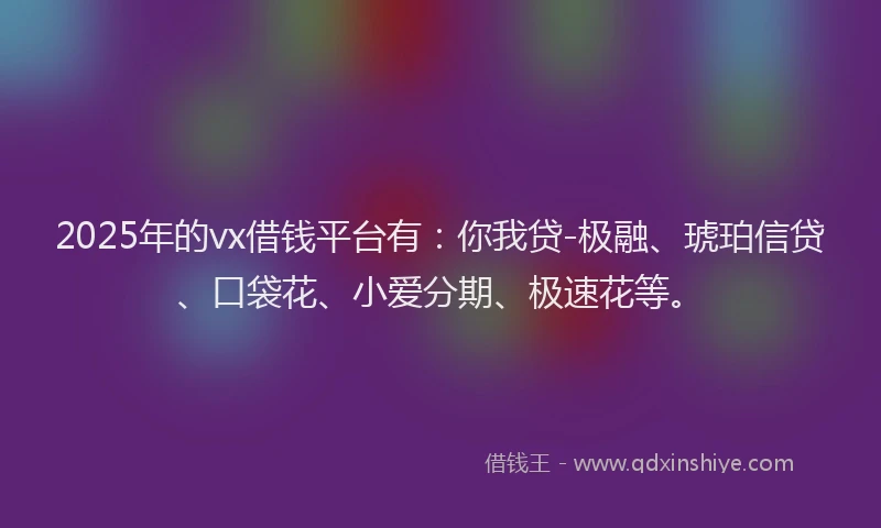 2025年的vx借钱平台有：你我贷-极融、琥珀信贷、口袋花、小爱分期、极速花等。