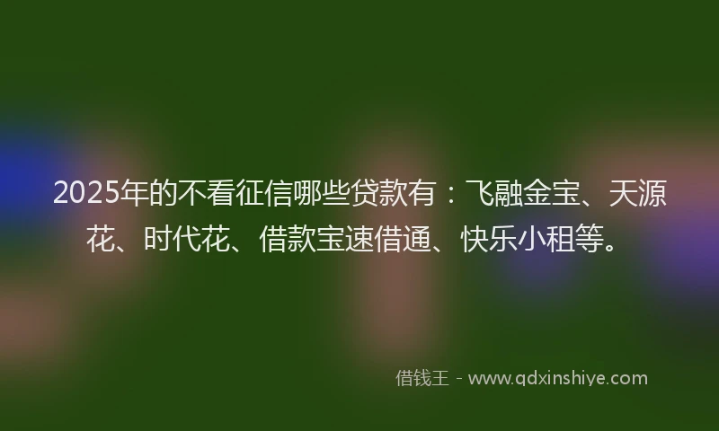 2025年的不看征信哪些贷款有：飞融金宝、天源花、时代花、借款宝速借通、快乐小租等。