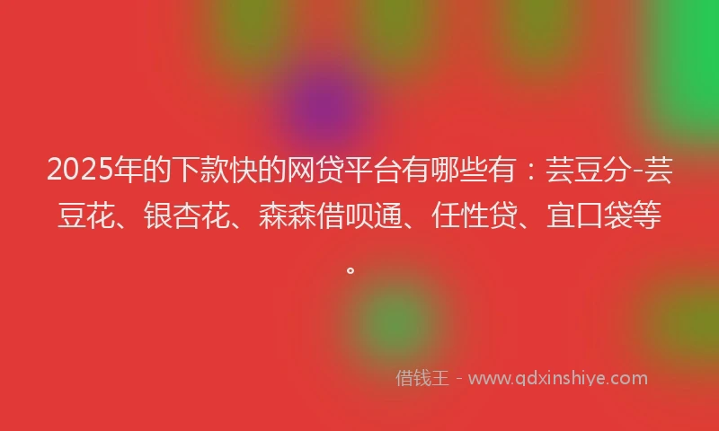 2025年的下款快的网贷平台有哪些有：芸豆分-芸豆花、银杏花、森森借呗通、任性贷、宜口袋等。