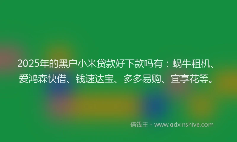 2025年的黑户小米贷款好下款吗有：蜗牛租机、爱鸿森快借、钱速达宝、多多易购、宜享花等。