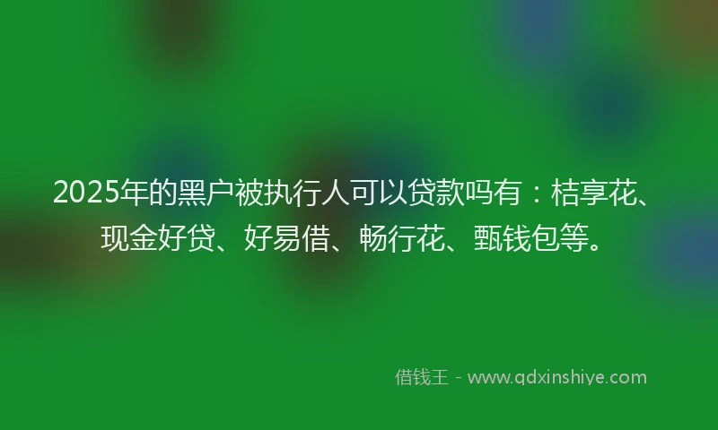 2025年的黑户被执行人可以贷款吗有：桔享花、现金好贷、好易借、畅行花、甄钱包等。