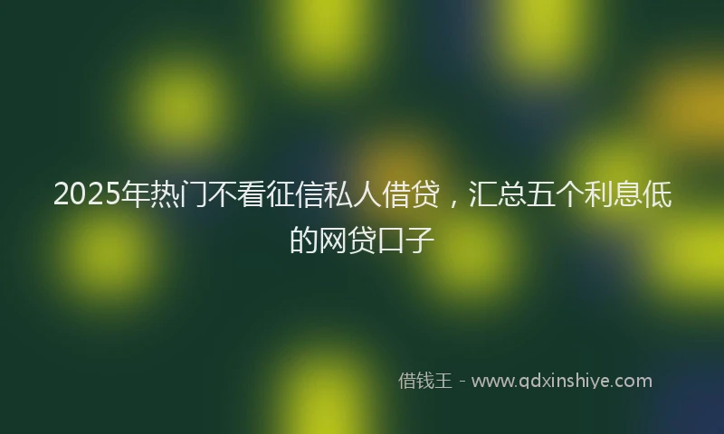 2025年热门不看征信私人借贷，汇总五个利息低的网贷口子