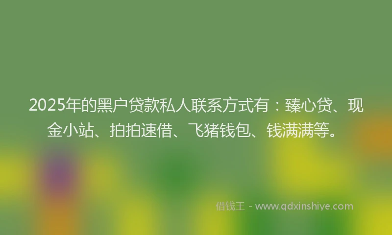 2025年的黑户贷款私人联系方式有：臻心贷、现金小站、拍拍速借、飞猪钱包、钱满满等。