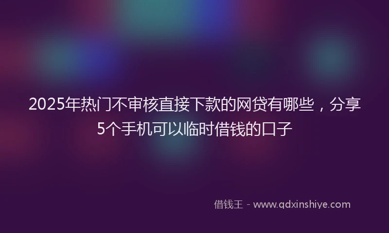 2025年热门不审核直接下款的网贷有哪些，分享5个手机可以临时借钱的口子
