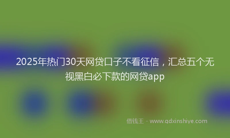 2025年热门30天网贷口子不看征信，汇总五个无视黑白必下款的网贷app