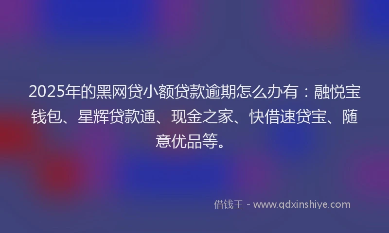2025年的黑网贷小额贷款逾期怎么办有：融悦宝钱包、星辉贷款通、现金之家、快借速贷宝、随意优品等。
