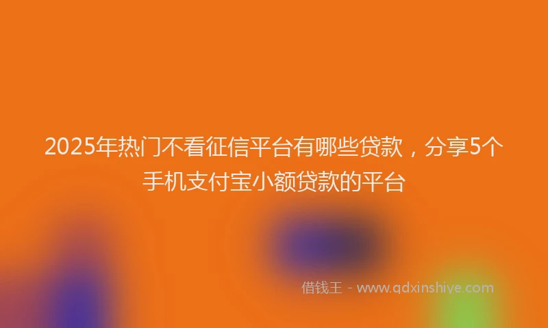 2025年热门不看征信平台有哪些贷款，分享5个手机支付宝小额贷款的平台