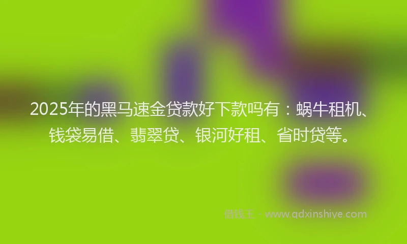 2025年的黑马速金贷款好下款吗有：蜗牛租机、钱袋易借、翡翠贷、银河好租、省时贷等。
