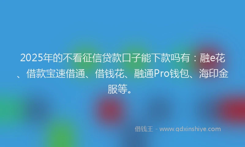2025年的不看征信贷款口子能下款吗有：融e花、借款宝速借通、借钱花、融通Pro钱包、海印金服等。