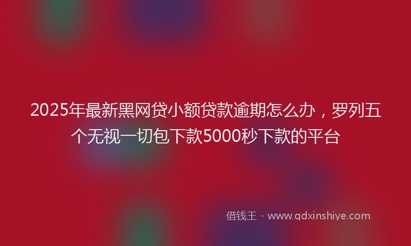 2025年最新黑网贷小额贷款逾期怎么办，罗列五个无视一切包下款5000秒下款的平台