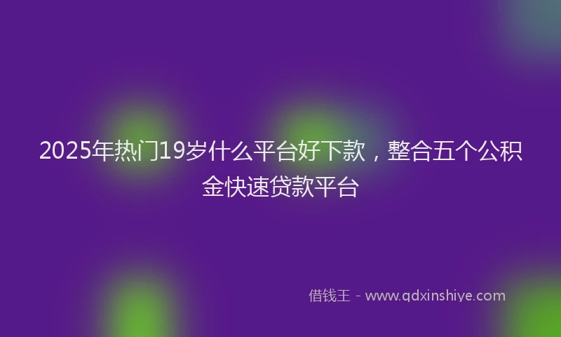 2025年热门19岁什么平台好下款，整合五个公积金快速贷款平台